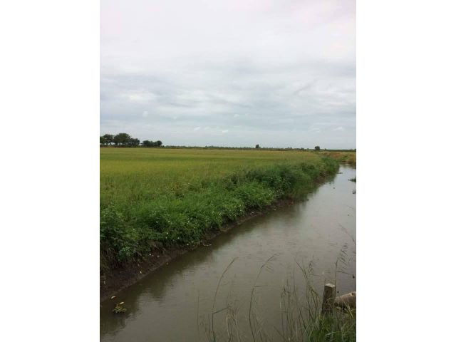 ขาย ที่ดินเปล่า 13 ไร่ ราคาถูก โซน บางเลน นครปฐม