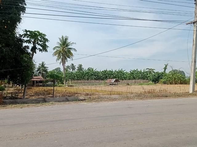 L751 ขายที่ดินติดถนน เกือบ 5 ไร่ เกาะสำโรง ในเมืองกาญจนบุรี ทำเลดี มีไฟฟ้า-น้ำประปา