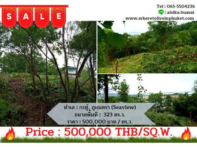 For Sales Land  Kathu, Near Phumontra , 323 Sq.w.