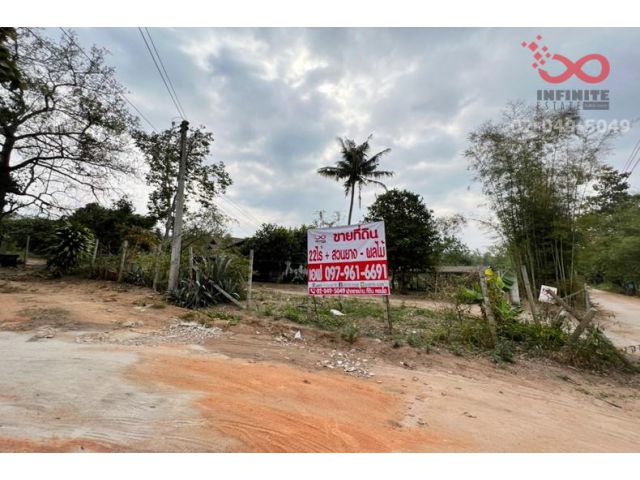 ขายที่ดินสวนยางและผลไม้พร้อมสิ่งปลูกสร้าง เนื้อที่ 21ไร่  42ตารางวา อำเภอฝาง เชียงใหม่