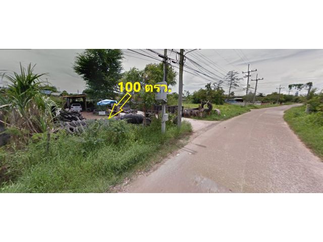 ขายที่ดินตำบลหนองงูเหลือม อำเภอเฉลิมพระเกียรติ จังหวัดนครราชสีมา 100 ตารางวา