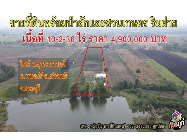 ขายที่ดินพร้อมป่าสักและสวนเกษตร ติดริมฝาย อ.ลำสนธิ จ.ลพบุรี