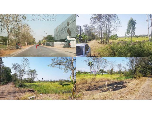 ขายที่ดิน คลอง11 หนองเสือ ปทุมธานี 64ตรว ใกล้ถนนรังสิต-นครนายก เหมาะปลูกบ้านทำสวน ขายราคาถูก