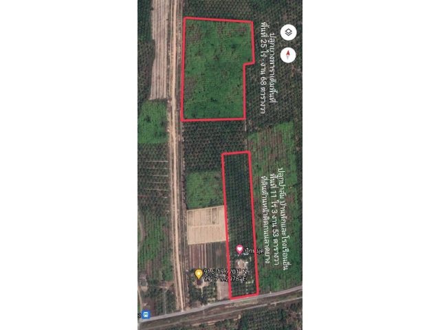 ขายที่ดิน  25 ไร่ เป็นสวนยาง ราคา 6 ล้านบาท เอกสารสิทธิ์ น.ส.3 ก ตำบลน้ำรอบ อำเภอพุนพิน