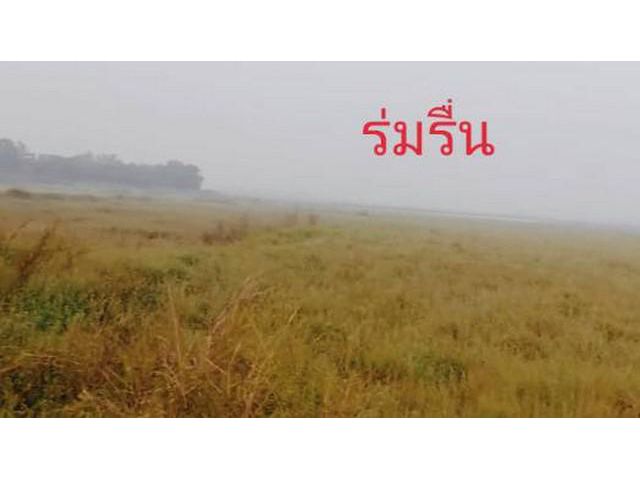 สวยสง่าราคาคุยได้ติดถนนคอนกรีต มหาราช อยุธยา