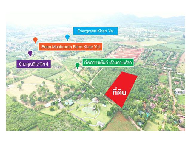 รหัสทรัพย์ 15 ขายที่ดินเขาใหญ่ ทรงปลายคัตเตอร์ 9-1-54 ไร่ ฝั่งตรงข้ามที่ดินเป็นรีสอร์ท