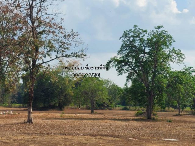 ขายที่ดินโฉนดวิวภูเขาสวย อ.หนองขาหย่าง จ.อุทัยธานี