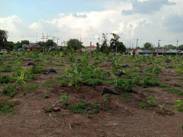 ขายที่ดินสวย ถมแล้ว ทำเลดี อำเภอเมือง ปราจีนบุรี