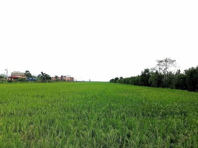 ที่ดินคลอง14 40 ไร่ 3 งาน ใกล้เซนต์เทเรซา