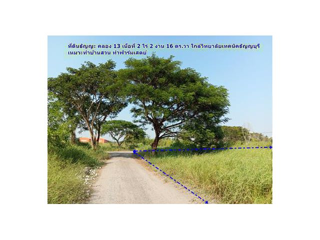 ที่ดินธัญญบุรีคลอง 13 ปทุมธานีราคาถูก 2 ไร่ 2 งาน 16 ตร.วา ใกล้วิทยาลัยเทคนิคธัญบุรี เหมาะทำบ้านสวน บ้านพักหลังเกษียณ