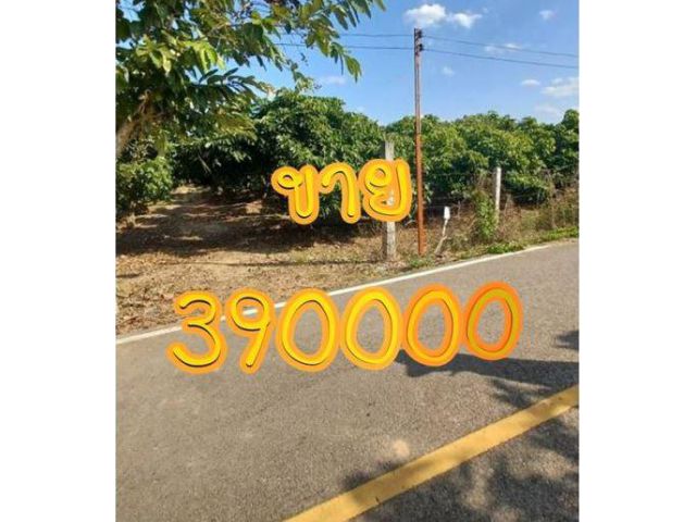 ขายที่ดิน 390,000บาท วิวภูเขา360องศา