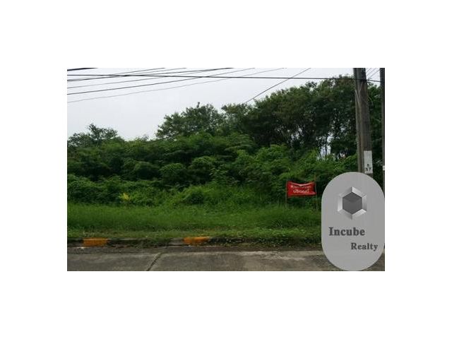 ขายที่ดิน ศาลาธรรมสพน์  320 ตรว.8.32ล้าน