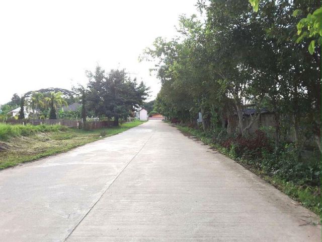 #ขายที่ดิน 31-3-17ไร่ ตำบลท่าสาย เมืองเชียงราย ที่ดินติดทางสาธารณะโยชน์ 42เมตร วิวภูเขา