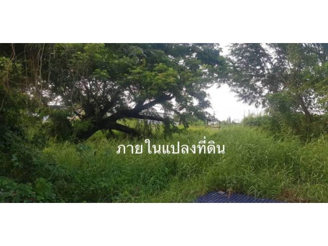 ขายที่ดินเปล่า 1ไร่ ซอยเพชรเกษม 68 แยก 27
