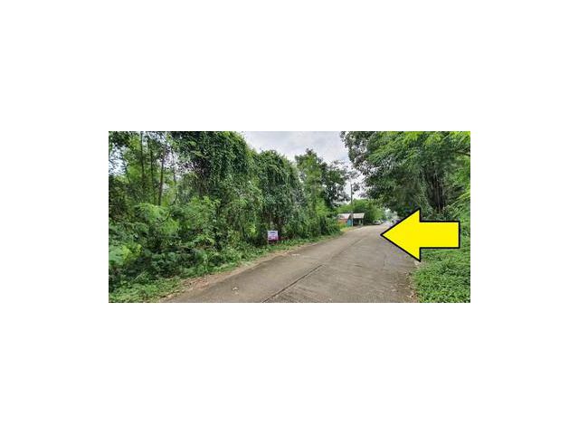 ขายที่ดิน คลอง10 หนองเสือ ปทุมธานี