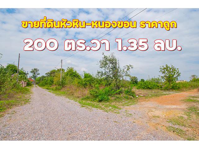 ขายที่ดินหัวหินราคาถูก 200 ตารางวา หนองขอน