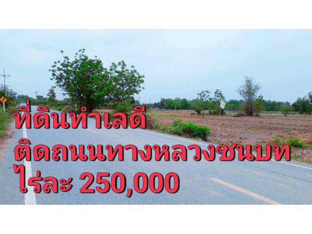 ที่ดินแปลงสวยทำเลดีมากติดถนนทางหลวงชนบท ใกล้ชุมชน เหมาะเปิดกิจการร้านม, แบ่งแปลง, สร้างบ้านขาย, เก็งกำไร