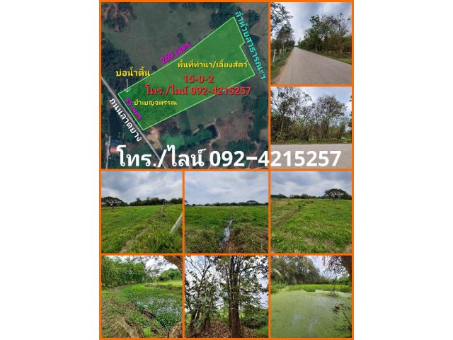 ขายที่ดินโฉนด 15 ไร่ ราคาถูกมาก ติดถนนลาดยาง อ.ปากท่อ จ.ราชบุรี
