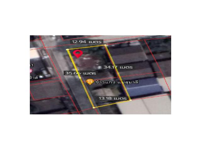 ขายที่ดิน สุขุมวิท 81 104 ตรว 27 ล้าน