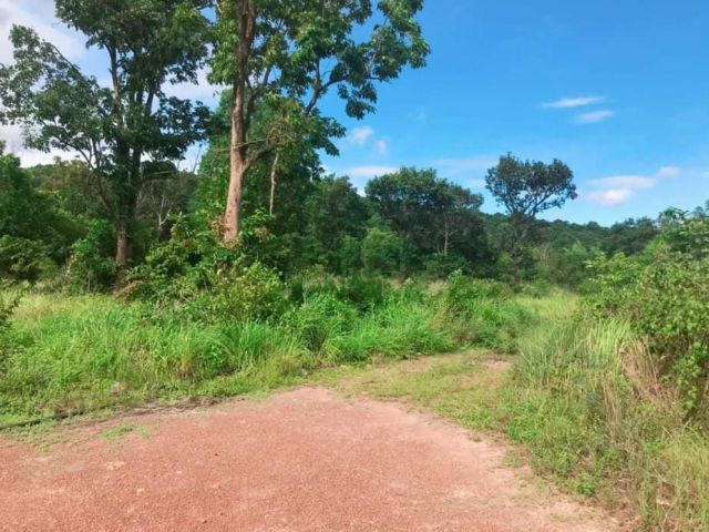 ที่สวย ดินดี ติดถนนลาดยาง ที่โฉนด มีน้ำประปา ไฟฟ้า เนื้อที่ 2 ไร่