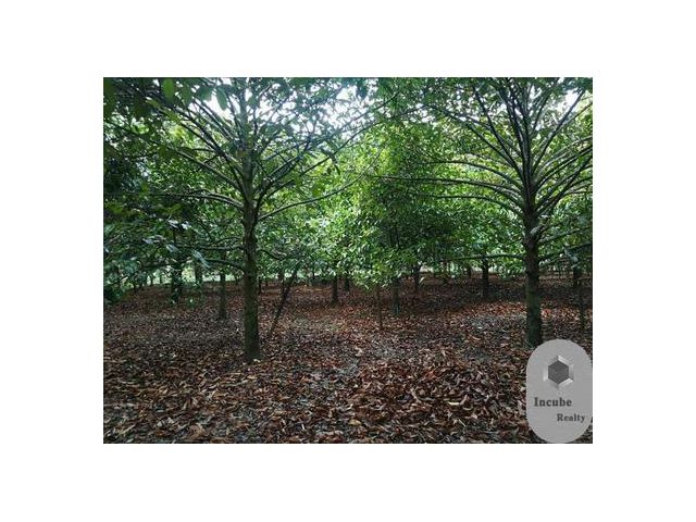 ขาย ทีดิน พื้นที่ 625 ตรว พลับพลา
