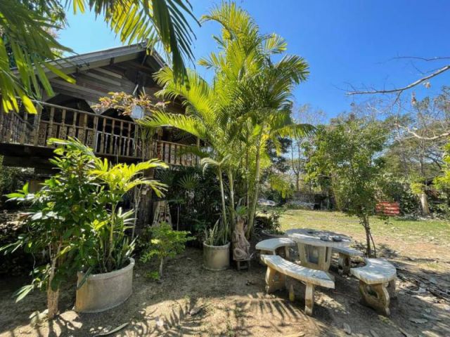 ขายบ้านสวนสันกำแพง ใกล้ที่ว่าการ อ.สันกำแพง เนื้อที่ 300 ตร.ว. ราคา 2.5ล้าน