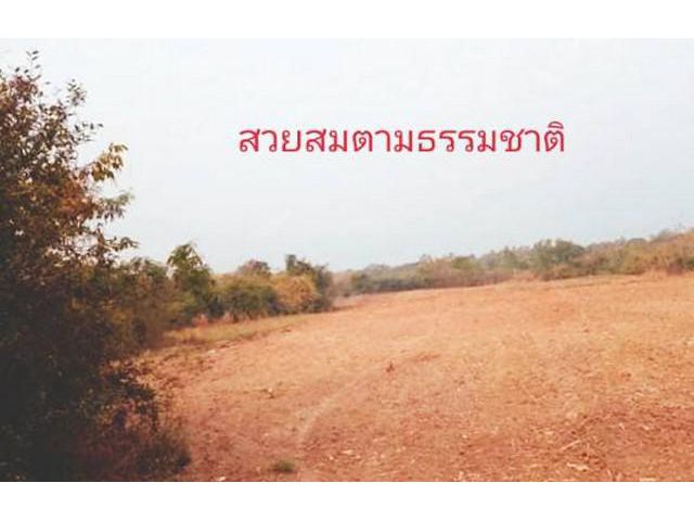 ทรัพย์โดดเด่นดีงาม บนเนินเขา หล่มเก่า 0837124115
