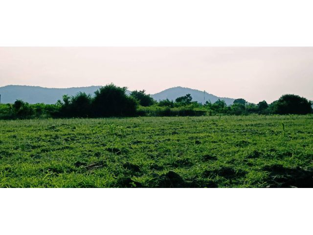 ขายที่ดินวิวเขาสวย ใกล้วัดเขาดีสลักน้ำไม่ท่วม เหมาะสร้างบ้านสวนยามเกษียณ น้ำไฟพร้อม