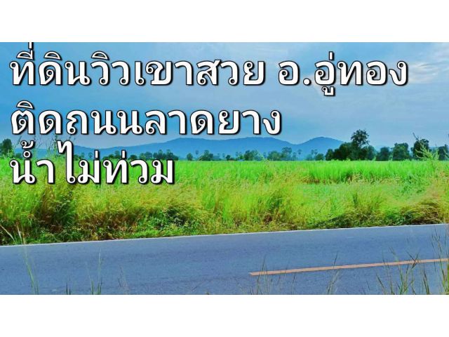 ขายที่ดินวิวเขาสวยติดทางหลวงชนบท อ.อู่ทองน้ำไม่ท่วมเหมาะสร้างบ้านสวนยามเกษียณ