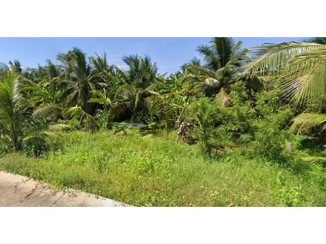 L782 ขายที่ดิน 2-2-0 ไร่ สามพราน นครปฐม เป็นสวนมะพร้าว ใกล้แม่น้ำท่าจีน