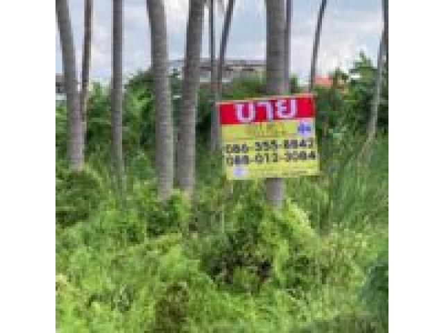 ขายที่ดิน สวนผักซอย 5 ถนนราชพฤกษ์ 36.  เนื้อที่ 401 ตรว.