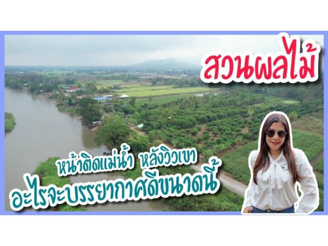 ขายสวนลำไย หน้าติดแม่น้ำปิง หลังวิวเขา ใกล้ถนนพหลโยธิน 600 เมตร