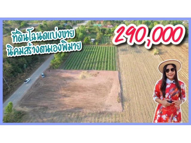 ขายที่ดินติดถนนลาดยาง นิคมสร้างตนเองพิมาย 123 ตารางวา