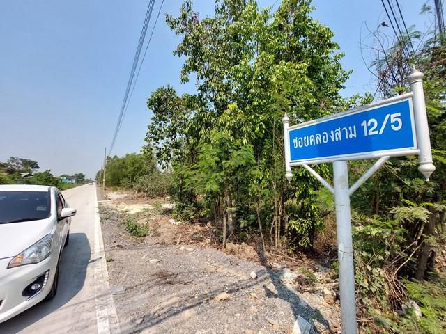 ขายด่วน ที่ดิน 50 ตรว ถมแล้ว ใกล้ตลาดไท ซ.12/5