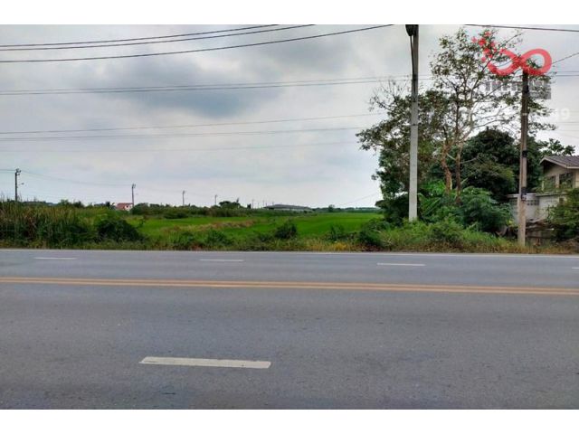 ขายที่ดินเปล่า 13 ไร่ 7ตารางวา ซอยประชาร่วมใจ57 คลองสามวา