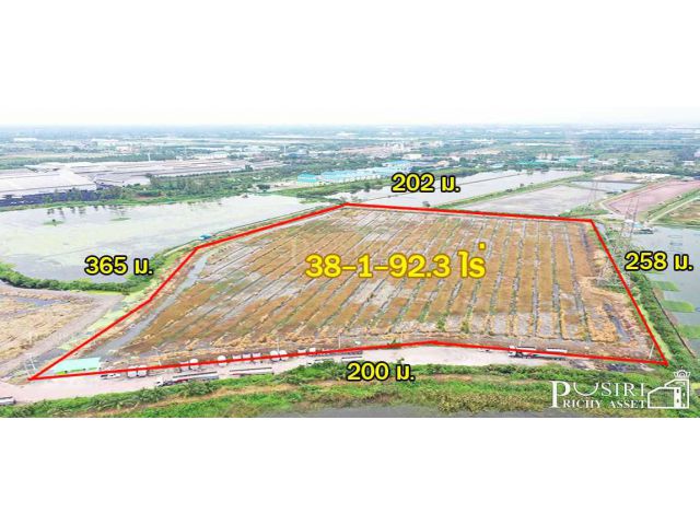 ที่สวยสร้างโกดัง 38ไร่เศษ หน้ากว้างถึง 200ม. ติดถนนที่รถเทรลเลอร์ เข้า - ออก สบาย ใกล้ ถนนบ้านแพ้ว พระราม 2 คุ้มค่ากว่าท