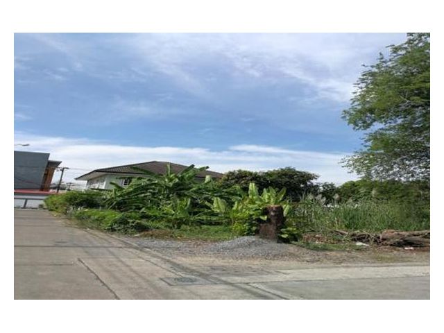 L779 ขายที่ดินแปลงมุม 156 ตรว รามอินทราซอย8 ใกล้สถานีรถไฟฟ้า สายสีชมพู (ลาดปลาเค้า)