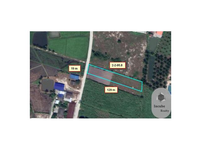ขายที่ดิน หนองหงษ์ ชลบุรี 2-2-95.8 ไร่7.39665ล้าน