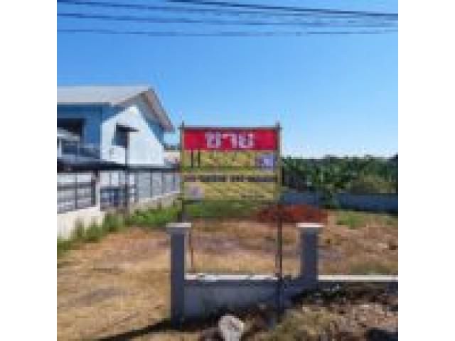 ขายที่ดิน 367.5 ตร.ว. ใกล้วัดธาตุ แม่น้ำโขง