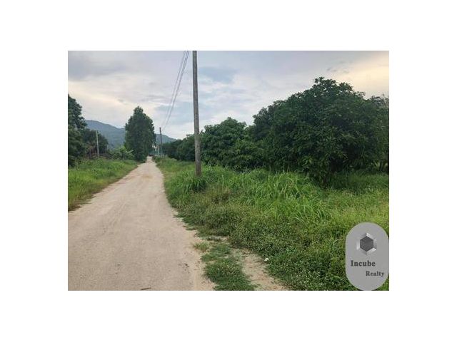 ขายที่ดิน หนองรี ชลบุรี 3-0-55 ไร่ 8.1575 ล้าน