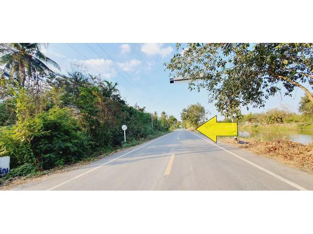 ขายที่ดินติดถนนลาดยาง คลอง 12 หนองเสือ 53 ไร่