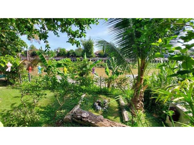 S00387 ขายที่ดินติดแม่น้ำปิง โซนป่าแดด