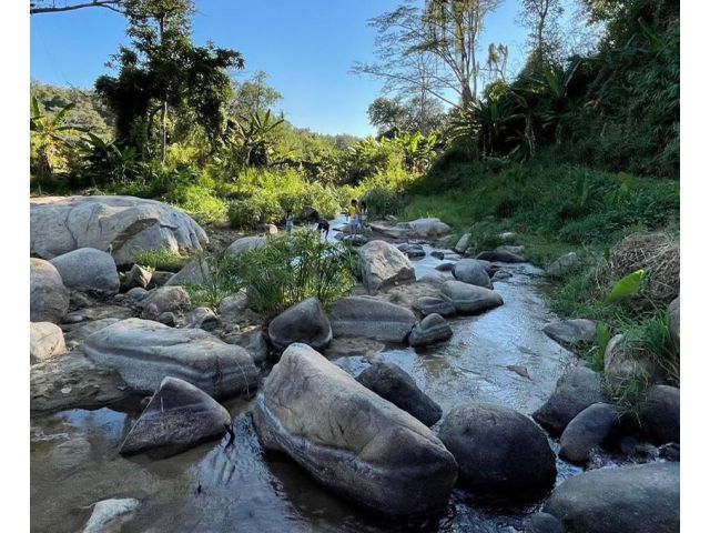ที่ดินติดน้ำแม่ลาย