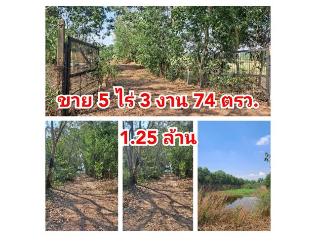 ที่ดินบ่อปลา หรือ โคกหนองนา  ต.บ้านหอย อ.ประจันตคาม จ.ปราจีนบุรี  ขนาดที่ดิน 5-3-74 ไร่