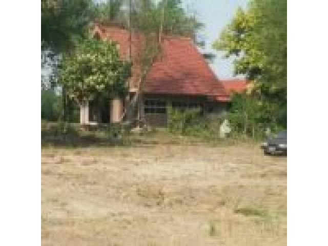 ขายที่ดินสวยราคาถูกอยู่ในทุ่งดินดำรีสอร์ท