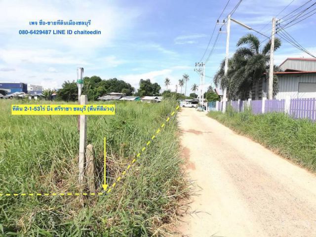 #ขายที่ดินพื้นที่สีม่วง เนื้อที่ 2-1-53ไร่ บึง ศรีราชา ชลบุรี##