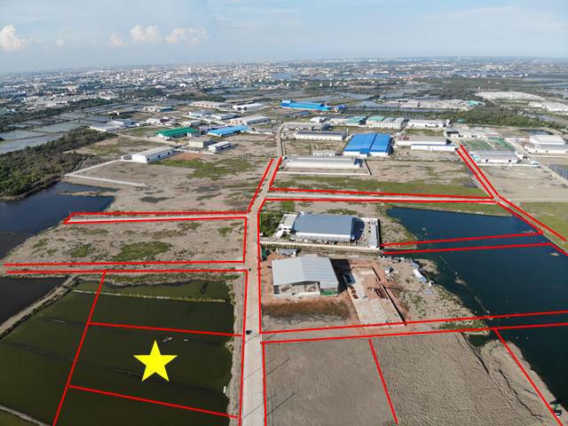 S344 ขายที่ดินในโครงการอยู่เจริญ ขนาด 8-1-10.2  ไร่ สี่เหลี่ยมผืนผ้าสวยงาม  พร้อมถมแล้ว