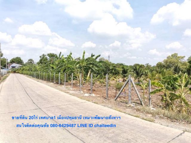 @@ขายที่ดิน 20ไร่ ตำบลบางหลวง เมืองปทุมธานี ที่ดินหน้ากว้างติดถนนซอยเทศบาล1 ที่ดินห่างจากถนนหลัก (ปทุมธานี-สายใน)ประมาณ 800เมตร ใกล้วัดบางหลวง