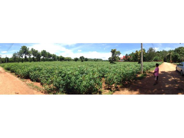@@#ที่ดินวิวภูเขา ขายที่ดินติดภูเขา เอกสาร(นส3.ก)เนื้อที่รวม 25-2-32ไร่ ตำบลวังกะทะ ปากช่อง โคราช ห่างจากถนน ทล.2311