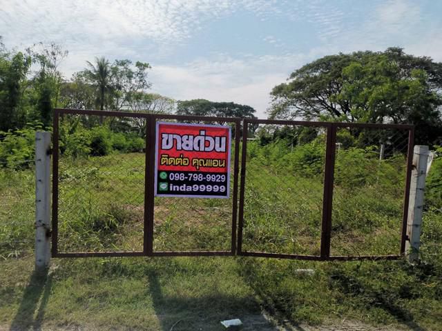 ที่ดิน ซอยประชาร่วมใจ63 ซอยสุเหร่าเกาะขุนเณร